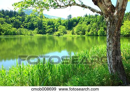 Hokkaido, Japan View Large Photo Image Stock Photo - Hokkaido, Japan. Fotosearch