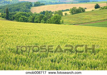 Hokkaido, Japan View Large Photo Image Stock Photo - Hokkaido, Japan. Fotosearch