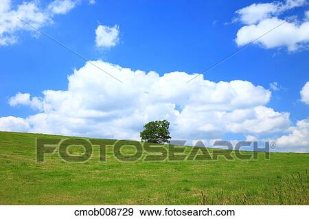Hokkaido, Japan View Large Photo Image Stock Photo - Hokkaido, Japan. Fotosearch