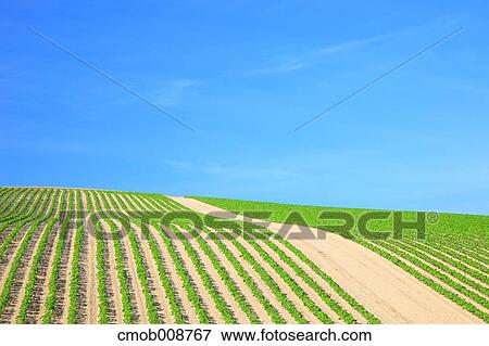Hokkaido, Japan View Large Photo Image Stock Photo - Hokkaido, Japan. Fotosearch