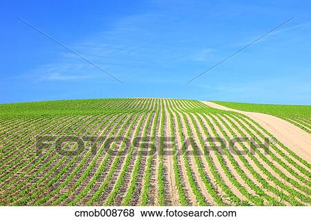 Hokkaido, Japan View Large Photo Image Stock Photo - Hokkaido, Japan. Fotosearch