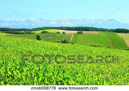 Hokkaido, Japan View Large Photo Image Stock Photo - Hokkaido, Japan. Fotosearch