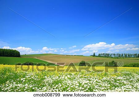 Hokkaido, Japan View Large Photo Image Stock Photo - Hokkaido, Japan. Fotosearch