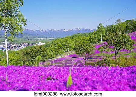 Hokkaido, Japan View Large Photo Image Stock Photo - Hokkaido, Japan. Fotosearch