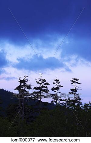 Hokkaido, Japan View Large Photo Image Stock Photo - Hokkaido, Japan. Fotosearch