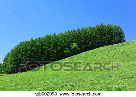 Hokkaido, Japan View Large Photo Image Stock Photo - Hokkaido, Japan. Fotosearch
