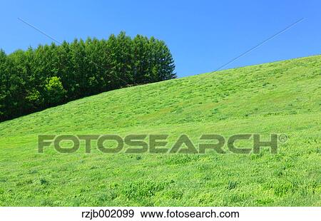 Hokkaido, Japan View Large Photo Image Stock Photo - Hokkaido, Japan. Fotosearch