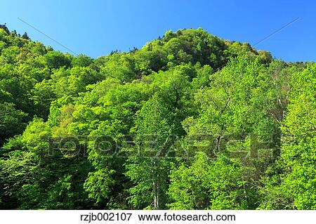 Hokkaido, Japan View Large Photo Image Stock Photo - Hokkaido, Japan. Fotosearch