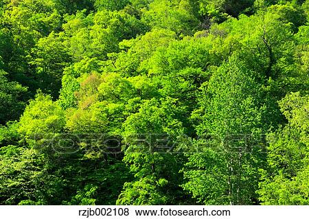 Hokkaido, Japan View Large Photo Image Stock Photo - Hokkaido, Japan. Fotosearch