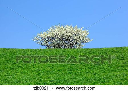 Stock Photo - Hokkaido, Japan. Fotosearch
