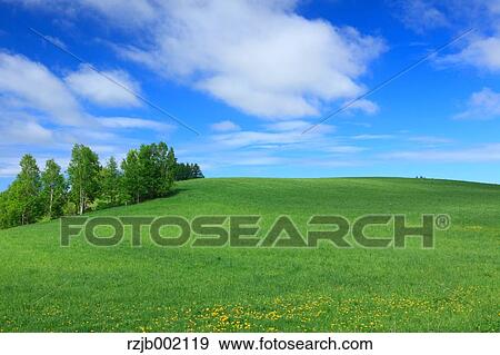 Hokkaido, Japan View Large Photo Image Stock Photo - Hokkaido, Japan. Fotosearch