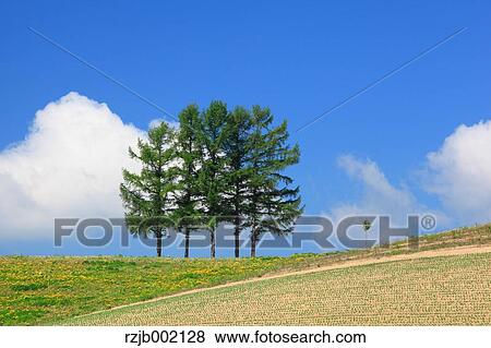 Stock Photo - Hokkaido, Japan. Fotosearch