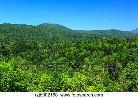 Hokkaido, Japan View Large Photo Image Stock Photo - Hokkaido, Japan. Fotosearch