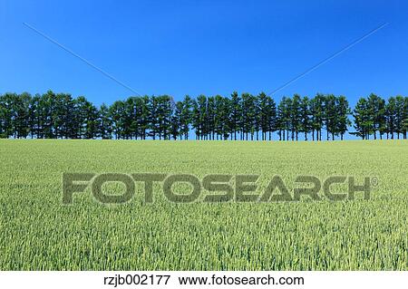 Hokkaido, Japan View Large Photo Image Stock Photo - Hokkaido, Japan. Fotosearch