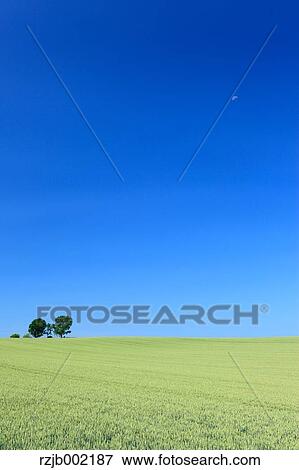 Hokkaido, Japan View Large Photo Image Stock Photo - Hokkaido, Japan. Fotosearch
