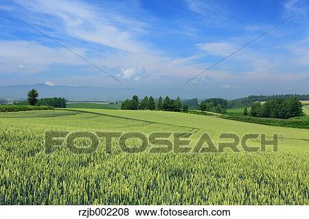 Hokkaido, Japan View Large Photo Image Stock Photo - Hokkaido, Japan. Fotosearch
