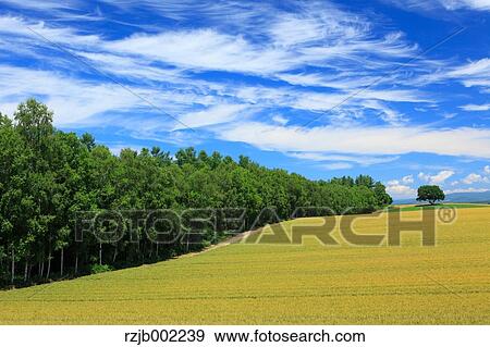 Hokkaido, Japan View Large Photo Image Stock Photo - Hokkaido, Japan. Fotosearch