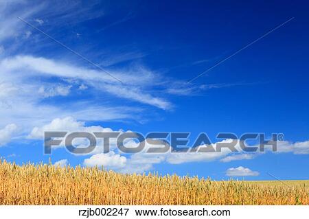 Hokkaido, Japan View Large Photo Image Stock Photo - Hokkaido, Japan. Fotosearch