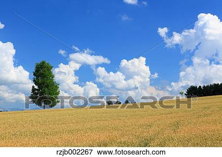 Hokkaido, Japan View Large Photo Image Stock Photo - Hokkaido, Japan. Fotosearch