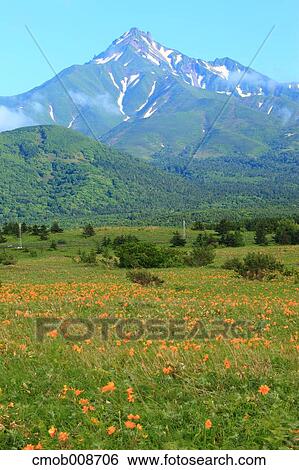 Hokkaido, Japan View Large Photo Image Stock Photograph - Hokkaido, Japan. Fotosearch