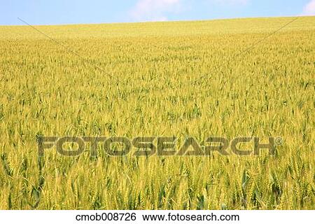 Hokkaido, Japan View Large Photo Image Stock Photograph - Hokkaido, Japan. Fotosearch
