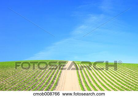 Stock Photograph - Hokkaido, Japan. Fotosearch