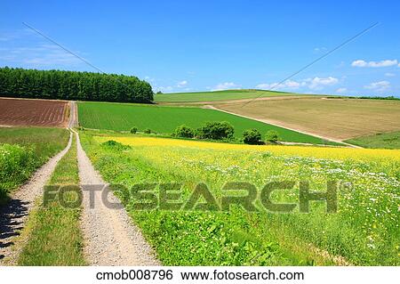 Hokkaido, Japan View Large Photo Image Stock Photograph - Hokkaido, Japan. Fotosearch
