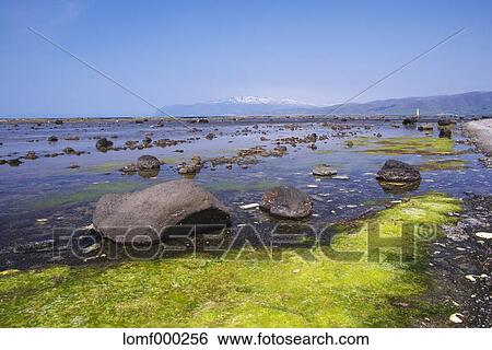Hokkaido, Japan View Large Photo Image Stock Photograph - Hokkaido, Japan. Fotosearch