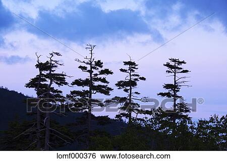 Hokkaido, Japan View Large Photo Image Stock Photograph - Hokkaido, Japan. Fotosearch