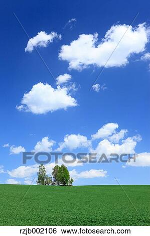 Stock Photograph - Hokkaido, Japan. Fotosearch