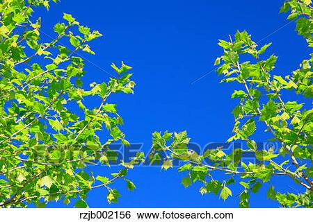 Hokkaido, Japan View Large Photo Image Stock Photograph - Hokkaido, Japan. Fotosearch