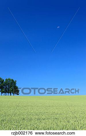 Stock Photograph - Hokkaido, Japan. Fotosearch