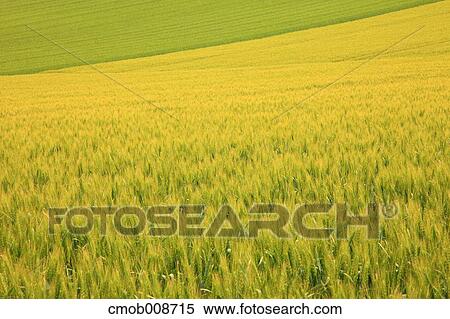 Hokkaido, Japan View Large Photo Image Stock Photography - Hokkaido, Japan. Fotosearch