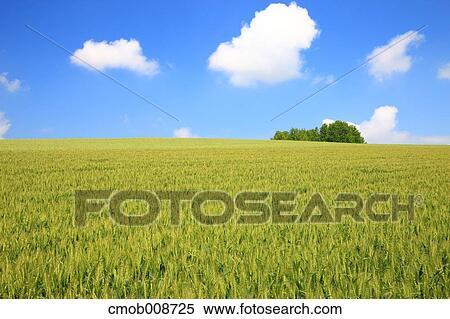 Hokkaido, Japan View Large Photo Image Stock Photography - Hokkaido, Japan. Fotosearch