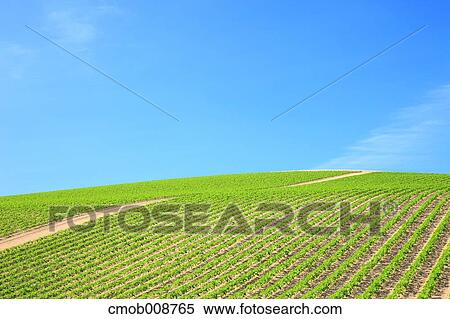 Hokkaido, Japan View Large Photo Image Stock Photography - Hokkaido, Japan. Fotosearch