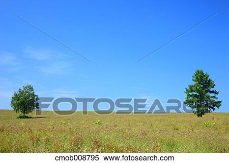 Hokkaido, Japan View Large Photo Image Stock Photography - Hokkaido, Japan. Fotosearch