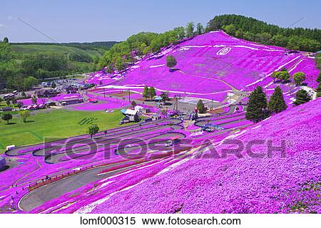 Hokkaido, Japan View Large Photo Image Stock Photography - Hokkaido, Japan. Fotosearch