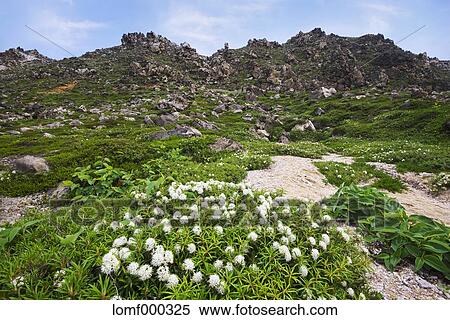 Hokkaido, Japan View Large Photo Image Stock Photography - Hokkaido, Japan. Fotosearch