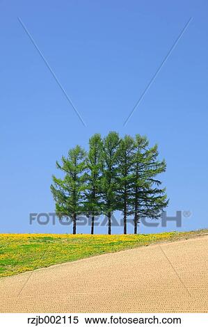 Hokkaido, Japan View Large Photo Image Stock Photography - Hokkaido, Japan. Fotosearch