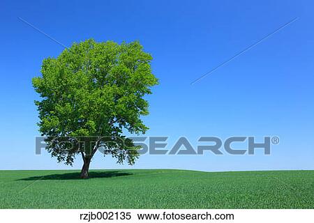 Stock Photography - Hokkaido, Japan. Fotosearch
