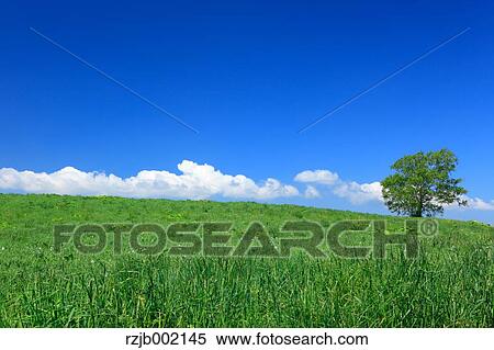 Hokkaido, Japan View Large Photo Image Stock Photography - Hokkaido, Japan. Fotosearch