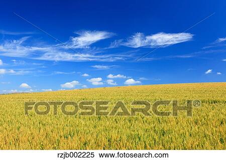 Hokkaido, Japan View Large Photo Image Stock Photography - Hokkaido, Japan. Fotosearch