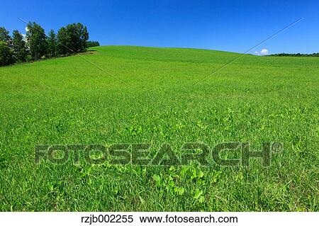 Hokkaido, Japan View Large Photo Image Stock Photography - Hokkaido, Japan. Fotosearch