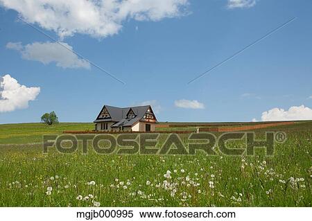 House and grassland in the countryside View Large Photo Image Stock Photography - House and grassland in the countryside. Fotosearch