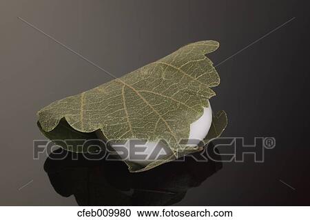 Stock Image - Japanese confectionery. Fotosearch