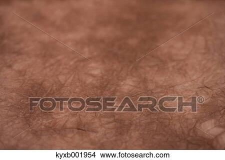 Picture - Japanese paper. Fotosearch