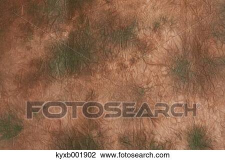 Stock Image - Japanese paper. Fotosearch