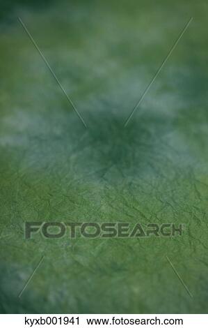 Japanese paper View Large Photo Image Stock Image - Japanese paper. Fotosearch