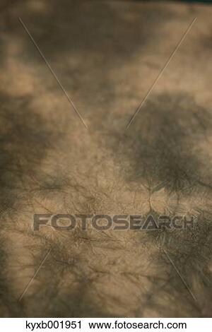 Japanese paper View Large Photo Image Stock Image - Japanese paper. Fotosearch