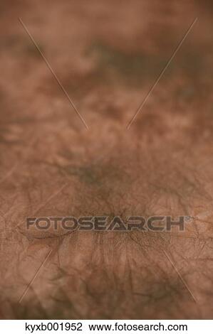 Japanese paper View Large Photo Image Stock Image - Japanese paper. Fotosearch